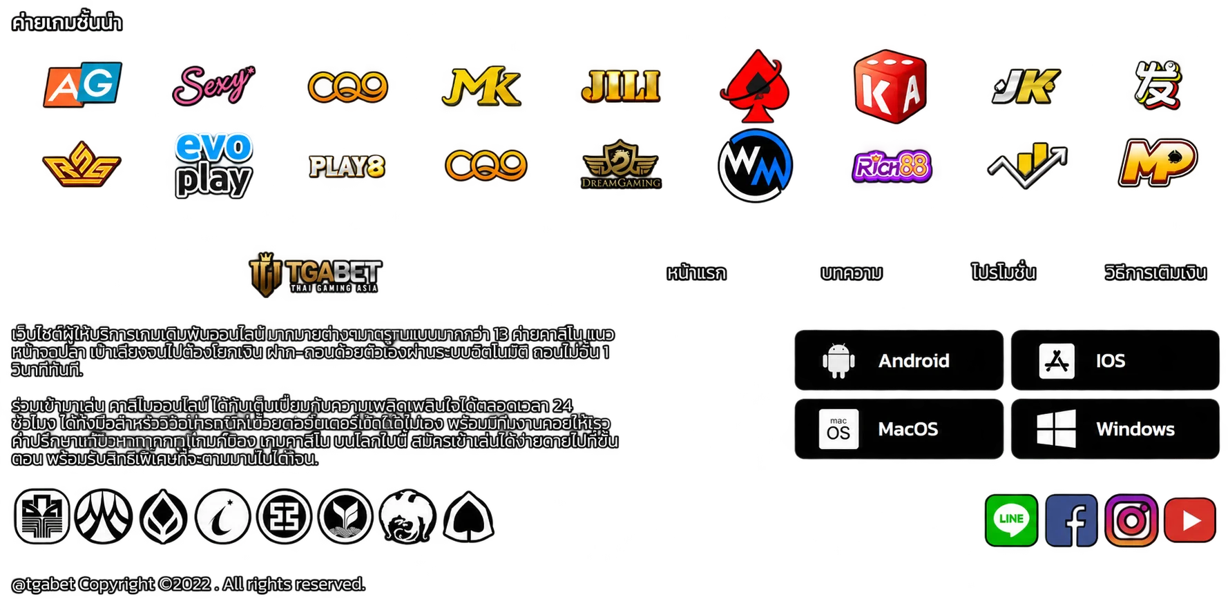 ZPIN88